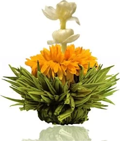 Creano Theebloemen Pakket Groene Thee - Fruitsmaken - 6 Stuks - -Koffie en Thee Verkoop 1023x1200 2