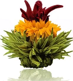 Creano Theebloemen Pakket Groene Thee - Fruitsmaken - 6 Stuks - -Koffie en Thee Verkoop 1073x1200 1