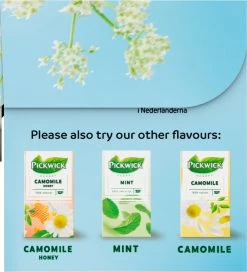Pickwick Sterrenmunt Kruidenthee - 4 X 20 Zakjes -Koffie en Thee Verkoop 1091x1200 4