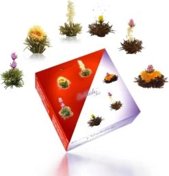 Creano Theebloemen Geschenkset Kadoverpakking Theebloemen En Glazen Theekan - Witte Theebloemen En Zwarte Theebloemen (6 Stuks) -Koffie en Thee Verkoop 1155x1200 2