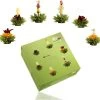 Creano Theebloemen Pakket Groene Thee - Fruitsmaken - 6 Stuks - -Koffie en Thee Verkoop 1200x1170 4