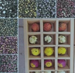 Cadeauset Pu-erh Thee Met Bloemen | 18 X 8 Gram Thee | Voor 18 Liter -Koffie en Thee Verkoop 1200x1176 2