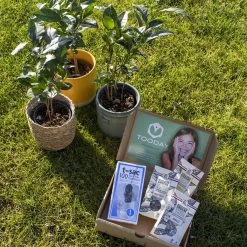 T-Sac Theefilters No.1 -Koffie en Thee Verkoop 1200x1200 240