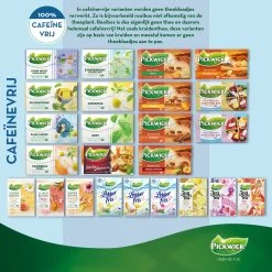 Pickwick Sterrenmunt Kruidenthee - 4 X 20 Zakjes -Koffie en Thee Verkoop 1200x1200 499