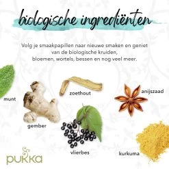Pukka Original Kruidenthee Geschenkdoos - 9 Blends Biologische Kruidenthee, Ook Leuk Als Verjaardagscadeau - 45 Zakjes - Theedoos - GB-BIO-05 -Koffie en Thee Verkoop 1200x1200 509