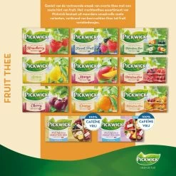 Pickwick Bosvruchten Fruit Thee - 12 X 20 Zakjes -Koffie en Thee Verkoop 1200x1200 580