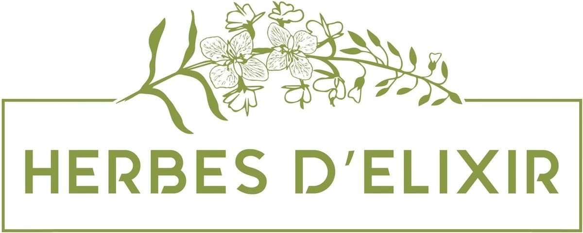 Lever En Gal Kruiden - Kruidenthee - Losse Thee - 75 Gram 5 Lever En Gal Kruiden - Kruidenthee - Losse Thee - 75 Gram - Afbeelding 3