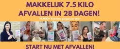 TeaTox™ 28 Dagen Afvallen Detox - Thee - Detox + E-book 30 Recepten -Koffie en Thee Verkoop 1200x489