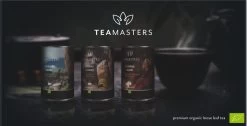 Teamasters Giftbox - Thee Geschenkset - Kerstpakket - Thee - Herbal Chai - Herbal Rooibos - Groene Thee - Perzik - Appel - Kerst - Geschenkset