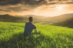 Teamasters Pure, Blends & Specials Mixbox - Gratis RVS Filter - Biologische Losse Thee - Rooibos - Munt - Citroen - Groene Thee - Jasmijn Thee - Zwarte Thee - Gember - Witte Thee - Framboos - Passievrucht - Theedoos - Zomer - Geschenkset -Koffie en Thee Verkoop 1200x799 17