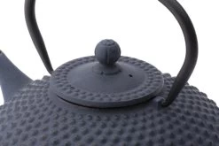 Bredemeijer - Theepot Xilin 1,25L Gietijzer Blauw -Koffie en Thee Verkoop 1200x800 25