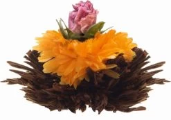 Creano Geschenkset Theebloemen (6 Stuks) En Glazen Theekan -Koffie en Thee Verkoop 1200x841