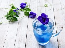 Merkloos Blauwe Vlindererwt Thee - Blue Butterfly Pea Flower Tea - Cafeïnevrije Kruidenthee - Kittelbloem - 20 Gram -Koffie en Thee Verkoop 1200x886 3