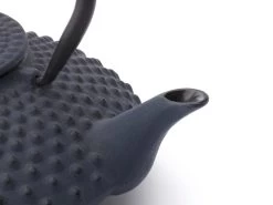 Bredemeijer - Theepot Xilin 1,25L Gietijzer Blauw -Koffie en Thee Verkoop 1200x900 15