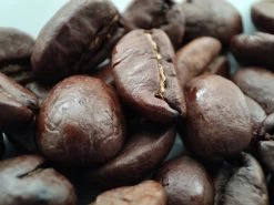 Voordeelpakket: Den Leeuw Lungo (80 Koffiecups) - Roast Koffiecups - Echte Hollandsche Koffie Van Den Leeuw In Nespresso Cups - Nespresso Compatibele Koffie Cups -Koffie en Thee Verkoop 1200x900