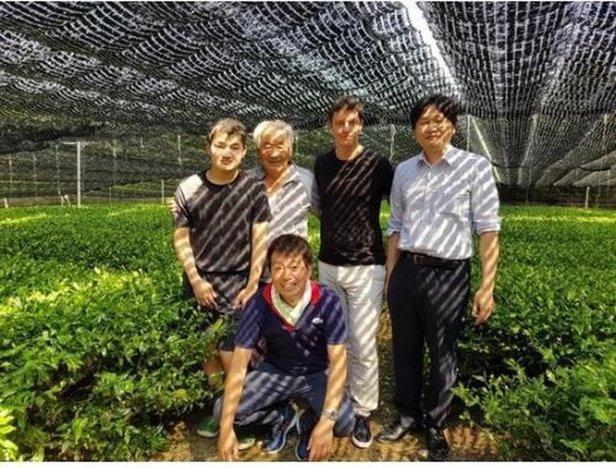 Matcha Thee Starters Kit - Alles Wat U Nodig Heeft Voor De Perfecte Japanse Matcha! Vandaag Besteld, Morgen In Huis! ✔ Gratis Matcha Boek Bij Uw Bestelling! 12 Matcha Thee Starters Kit - Alles Wat U Nodig Heeft Voor De Perfecte Japanse Matcha! Vandaag Besteld, Morgen In Huis! ✔ Gratis Matcha Boek Bij Uw Bestelling! - Afbeelding 10