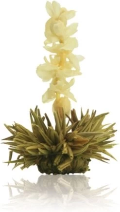 Creano Theebloemen Geschenkset Kadoverpakking Theebloemen En Glazen Theekan - Witte Theebloemen En Zwarte Theebloemen (6 Stuks) -Koffie en Thee Verkoop 682x1200