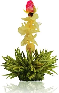 Creano Theebloemen Pakket Groene Thee - Fruitsmaken - 6 Stuks - -Koffie en Thee Verkoop 768x1200