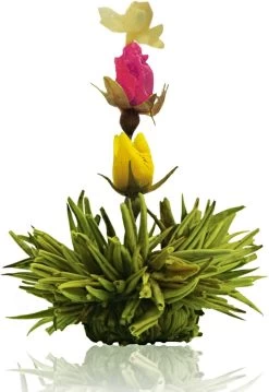 Creano Theebloemen Pakket Groene Thee - Fruitsmaken - 6 Stuks - -Koffie en Thee Verkoop 826x1200 1