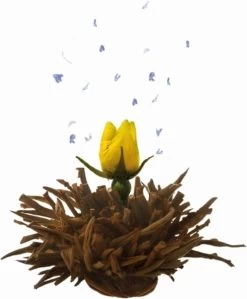 Creano Theebloemen Geschenkset Kadoverpakking Theebloemen En Glazen Theekan - Witte Theebloemen En Zwarte Theebloemen (6 Stuks) -Koffie en Thee Verkoop 992x1200